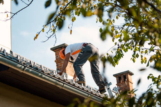 Best Gutter Replacement  in Brighton, MI