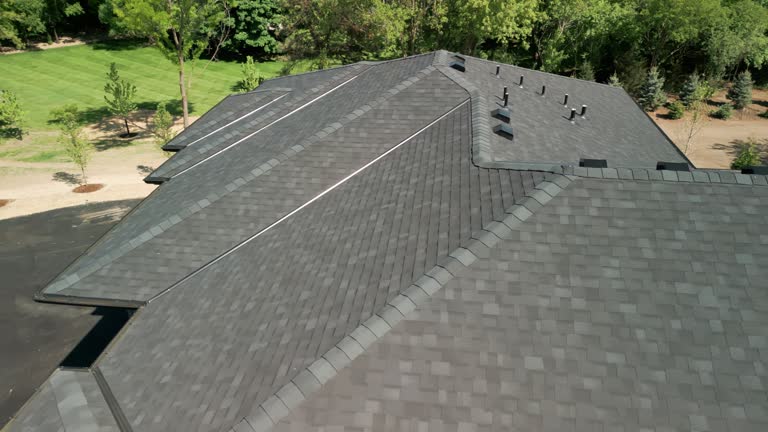 Best Solar Panel Roofing Installation  in Brighton, MI
