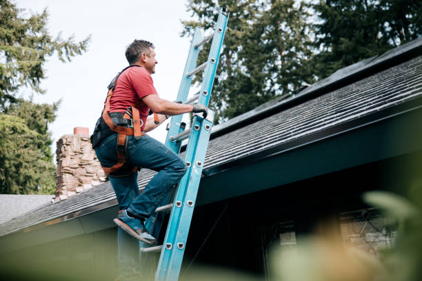 Best Metal Roofing Installation  in Brighton, MI